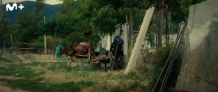 Tor: una historia de Carles Porta: Rubén y los ingleses