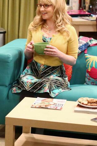 Big Bang (T8): Ep.7 La agitación de la malinterpretación