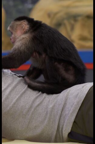 Equipo Danger (T2): Ep.1 Un impostor entre nosotros