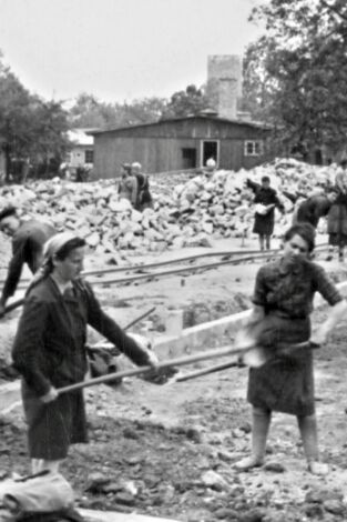Auschwitz, des survivants racontent