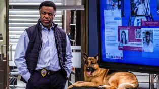 Hudson y Rex (T4): Ep.4 Líder de la manada