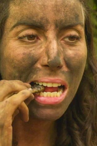 Aventura en pelotas: El impacto del estado de la pradera