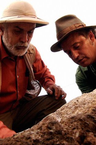 Sota terra: Coves del Toll: Hienes, ossos i neandertals