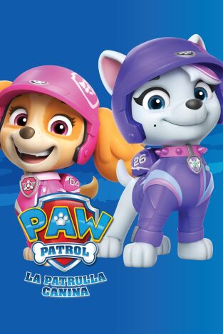 La Patrulla Canina (T10): Ep.24 Los cachorros ayudan en un robo a la fuga; Los cachorros salvan a los corredores de buggies