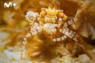 Cómo se hizo Parenthood: Cómo se hizo Parenthood (episodio 2)