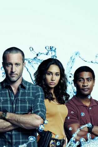 Hawai 5.0 (T10): Ep.14 I ho'olulu, ho'ohulei 'ia e ka makani (Hubo un silencio y, luego, empezó a sona...