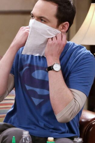 Big Bang (T9): Ep.12 La sublimación de la venta