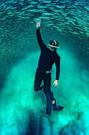 Ningaloo. La maravilla del océano de Australia: Conexiones