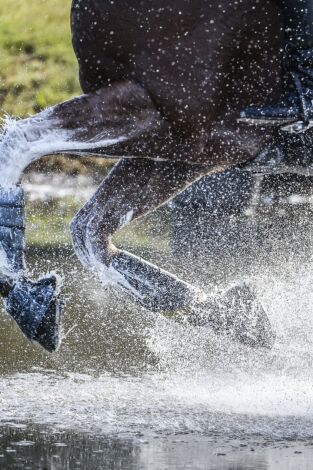 AlUla Desert Polo - Resumen