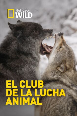 El club de la lucha animal: Dominación total