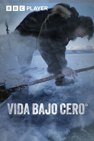 Vida bajo cero