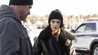 Ley y Orden: Crimen organizado (T4): Episodio 6