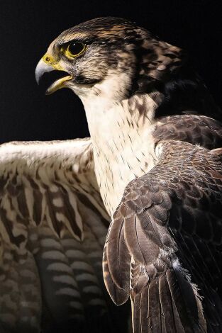 XXXIII Sky Trial Villa de Turleque