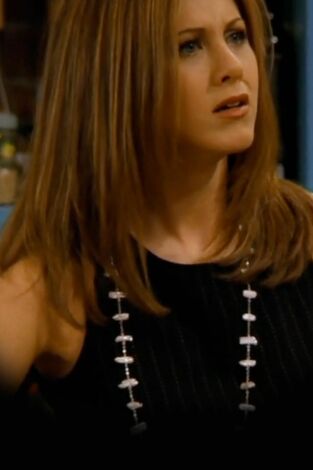 Friends (T3): Ep.15 El de cuando Ross y Rachel se toman un descanso