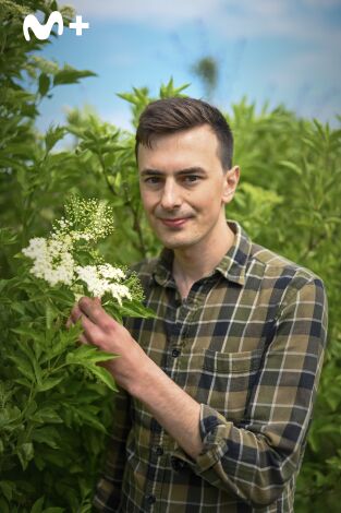 La vida secreta de los árboles: Los primeros años