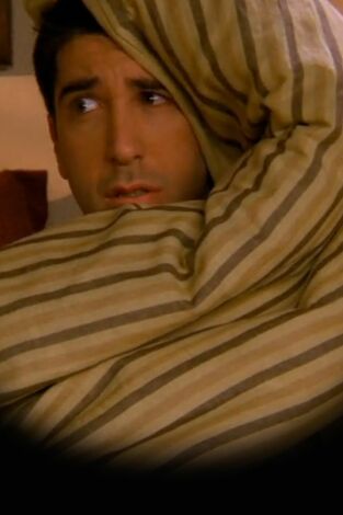 Friends (T3): Ep.16 El de la mañana siguiente