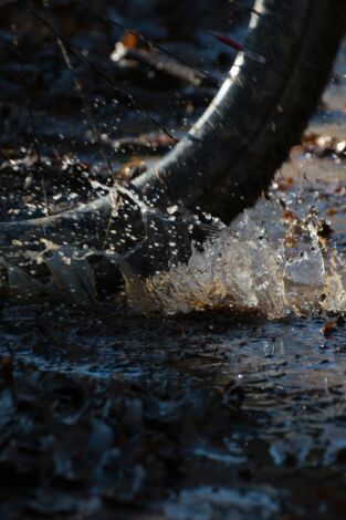 Ciclocross Superprestige - Middelkerke (T25/26): Carrera F