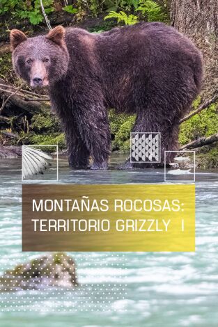 Montañas rocosas, territorio grizzly 1