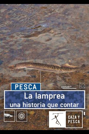 La lamprea: una historia que contar
