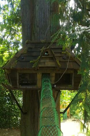 Supercasas para mascotas: Un jardín de ensueño