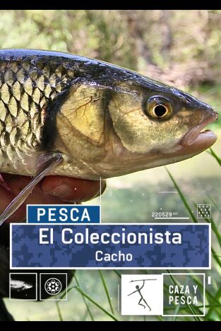 El coleccionista: Cacho