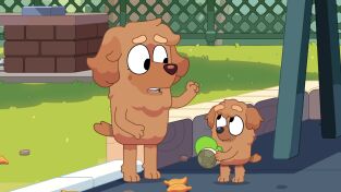 Bluey (T3): Ep.31 El niño tortuga