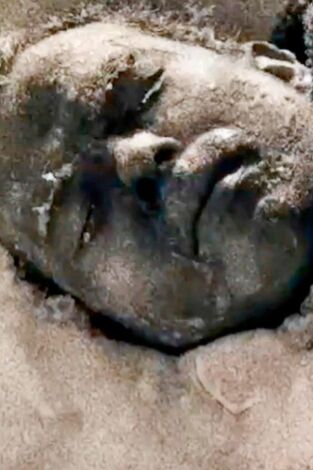 Expedición: archivos del pasado: Finales trágicos