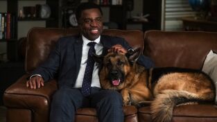 Hudson y Rex (T4): Ep.13 Las rosas de Signal Hill