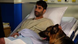 Hudson y Rex (T4): Ep.14 Hagan hueso