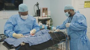 Critter fixers: Veterinarios rurales: ¡Menuda morena!