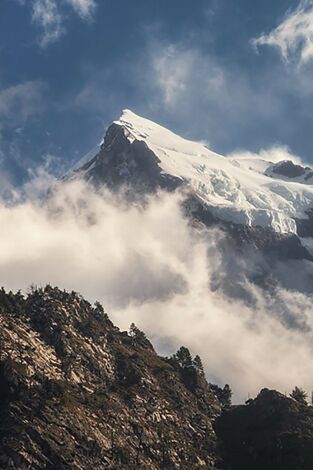 Mindful Earth: Cambiar