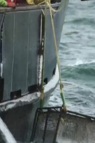 Pesca radical: Intratable