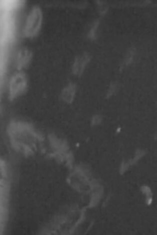 Mi casa está embrujada: Ley y desorden