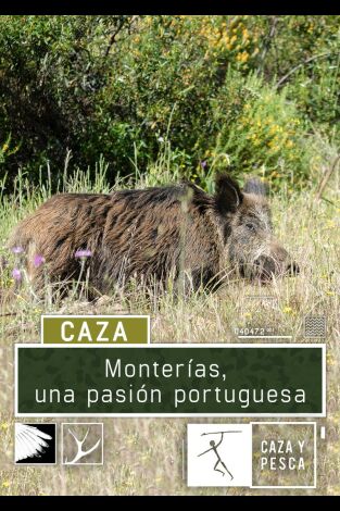 Montería, una pasión portuguesa