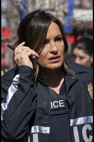 Ley y orden: unidad de víctimas especiales (T22): Ep.14 Psicópata diplomado