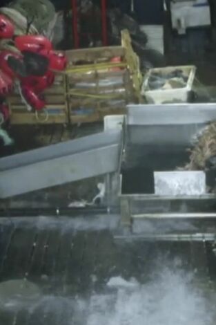 Pesca radical: Alianza impía