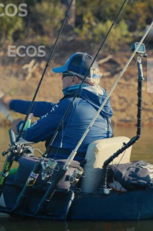 Ecos del jarama black bass
