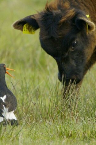 Defender a la familia