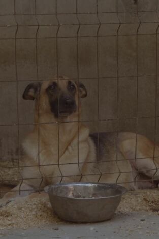 Seprona en acción: Episodio 10