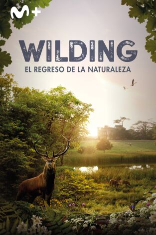 Wilding, el regreso de la naturaleza
