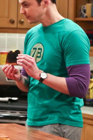 Big Bang (T9): Ep.22 La fermentación de la bifurcación