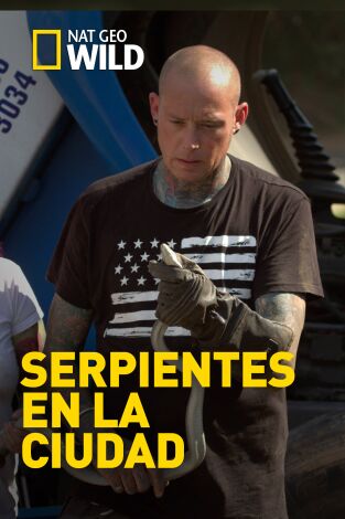 Serpientes en la ciudad: Un monstruo bajo la cama