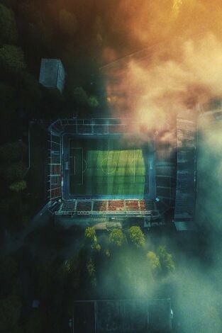 Ligue 1 McDonald's - Les clubs