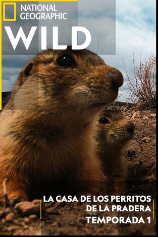 La casa de los perritos de las praderas: Valor de ley