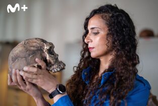 Human: la historia del ser humano: El origen de los humanos