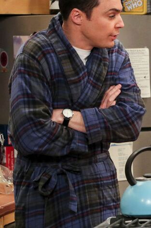 Big Bang (T10): Ep.20 La disipación de los recuerdos