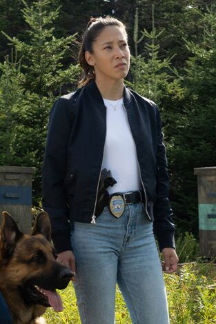 Hudson y Rex (T7): Ep.6 Muerte Entre Abejas