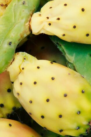 Así se hace: Fijaciones aeroespaciales