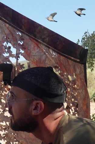 Palomas sedentarias en Antequera