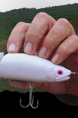 Sombras bajo los señuelos